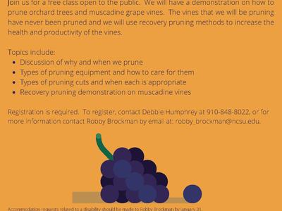 Pruning workshop poster