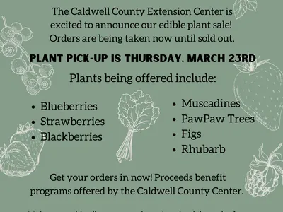 flyer for plant sale