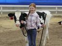 Dairy Steer Program