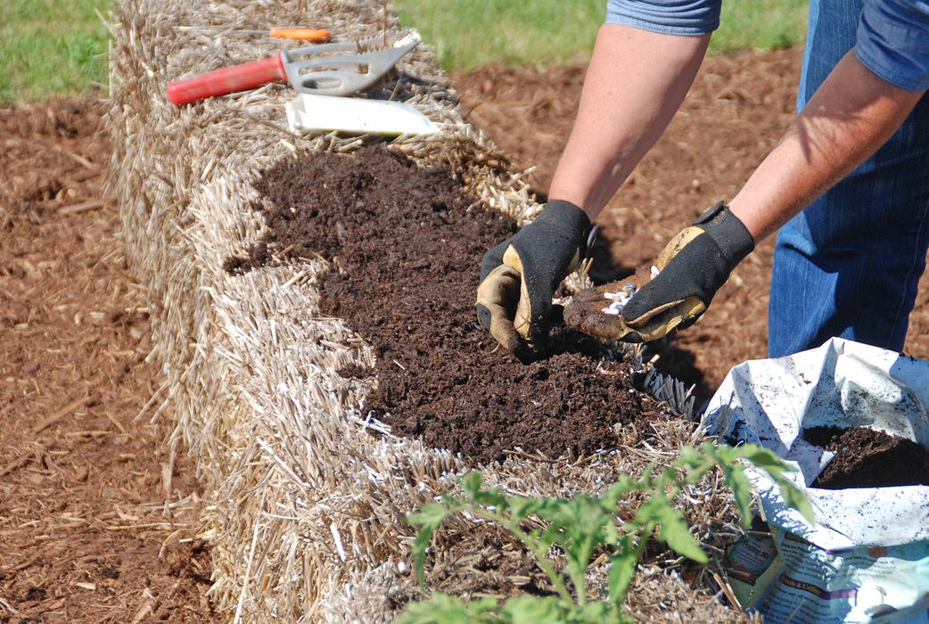 close up of hands planting into prepared straw bale