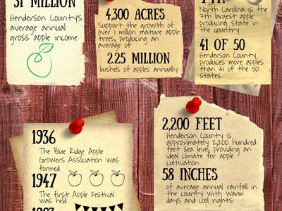 Infographic "Apples by the Numbers" with Henderson County stats: 31 million; 4,300 acres; 2.25M bushels