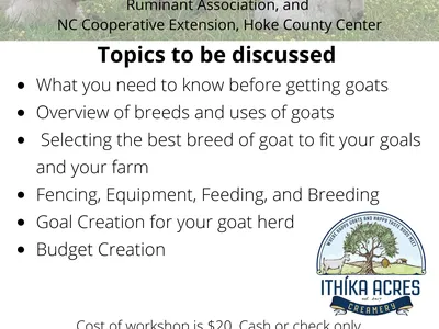 Get Started with Goats