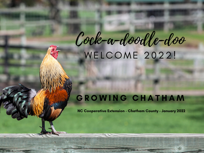 Rooster on a fence rail with text: "Cock-a-doodle-doo WELCOME 2022! GROWING CHATHAM"