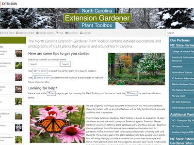 North Carolina Extension Gardener Plant Toolbox website homepage with search box and plant photos