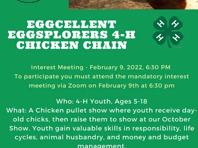 4-H Chicken Chain flyer: interest meeting Feb 9, 2022 6:30 PM; youth ages 5–18