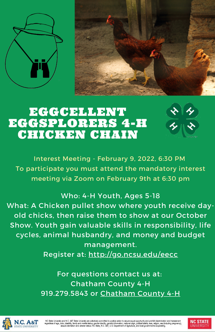 4-H Chicken Chain flyer: interest meeting Feb 9, 2022 6:30 PM; youth ages 5–18