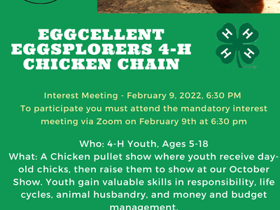 4-H Chicken Chain flyer: interest meeting Feb 9, 2022 6:30 PM; youth ages 5–18