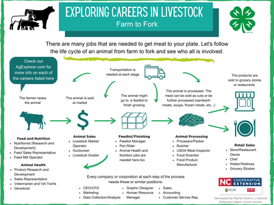 Chart for Livestock Careers
