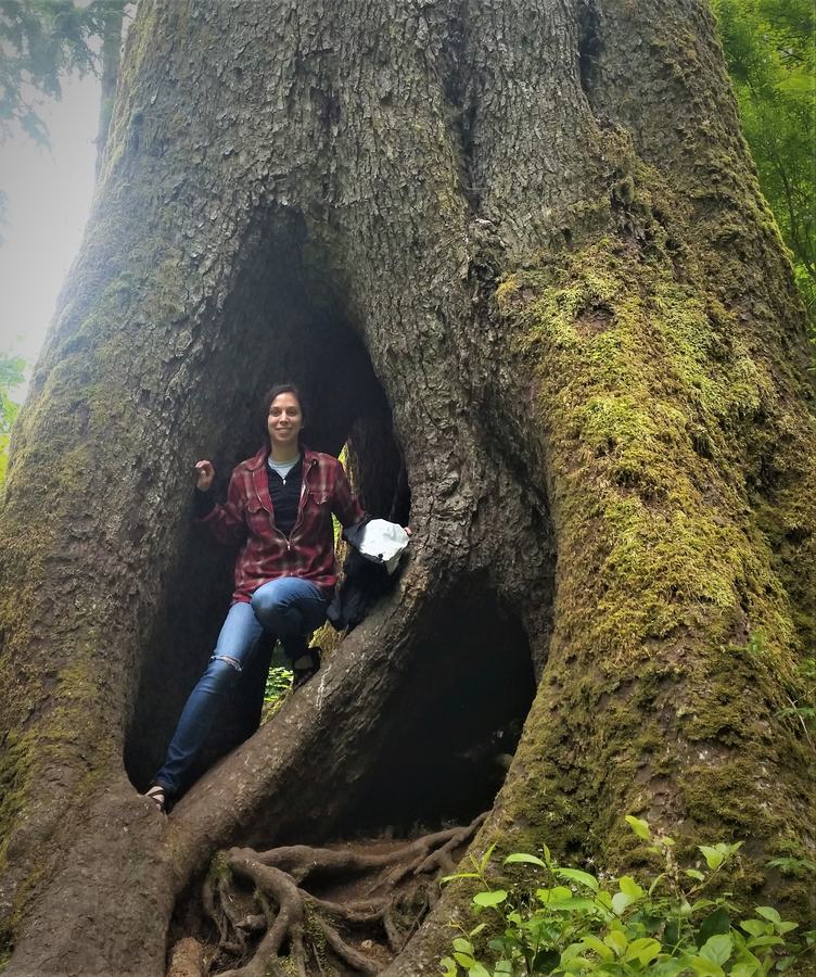 Person seated inside a hollow moss-covered tree trunk wearing a red plaid shirt and jeans