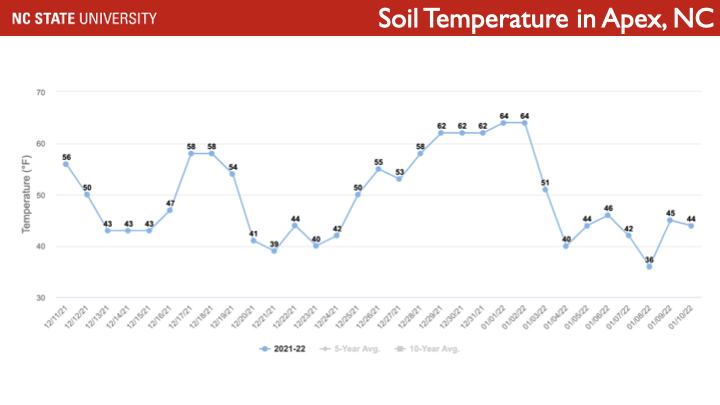 Line chart titled "Soil Temperature in Apex, NC" showing daily soil temps Dec 11 2021–Jan 10 2022