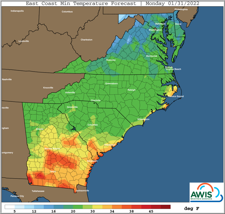 Map: East Coast min temperature forecast Monday 01/31/2022, colored temperature scale in °F.