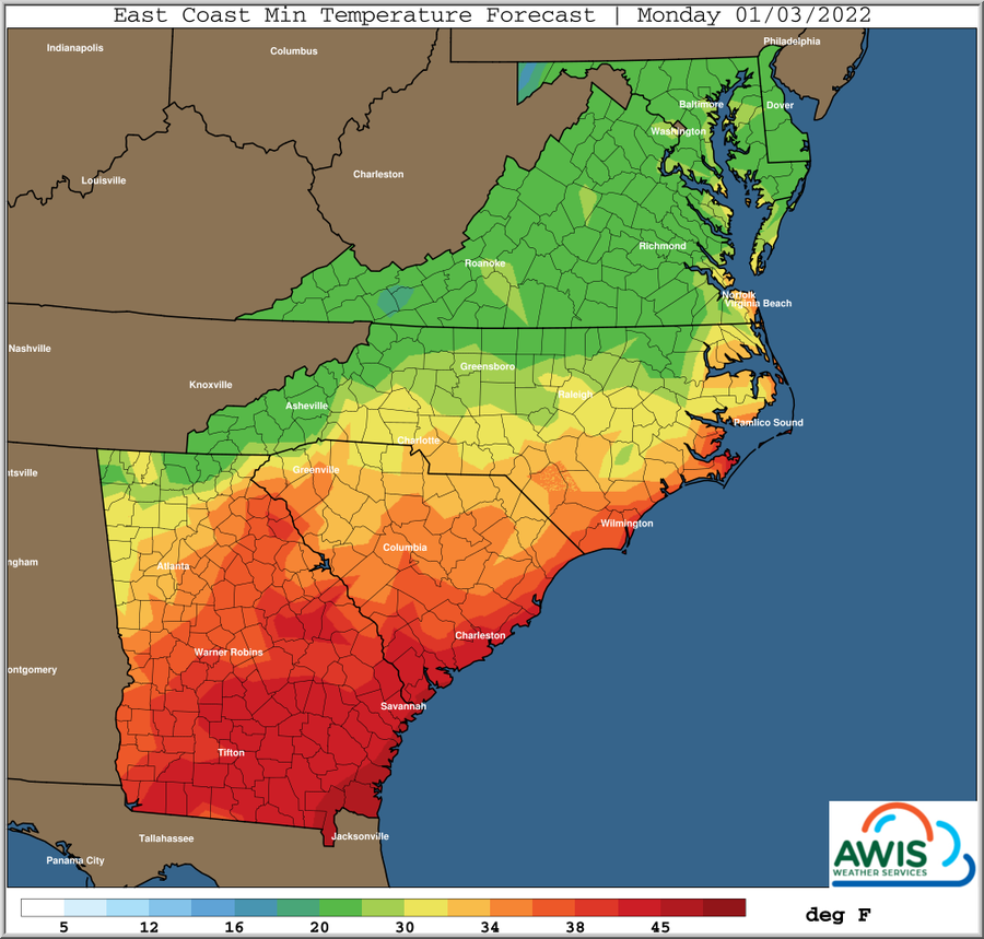 East Coast minimum temperature forecast map for Monday 01/03/2022 with color scale (deg F)