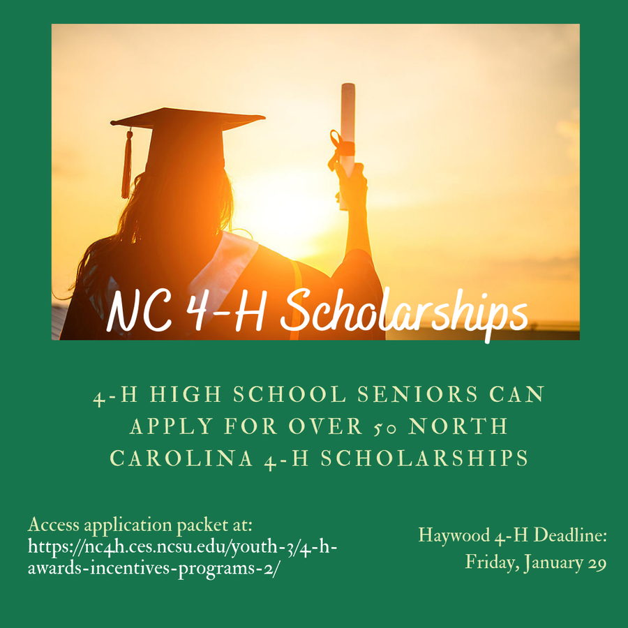 Graduate holding diploma at sunset; 'NC 4-H Scholarships'; Haywood 4-H Deadline: Friday, January 29