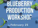 Production Workshop Flyer