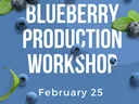 Production Workshop Flyer
