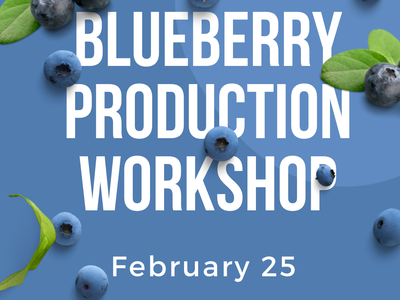 Production Workshop Flyer
