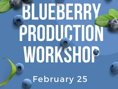 Production Workshop Flyer