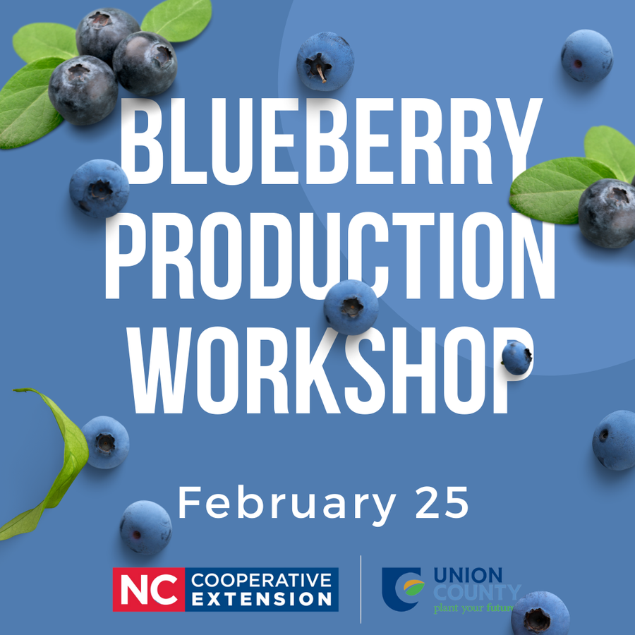 Production Workshop Flyer