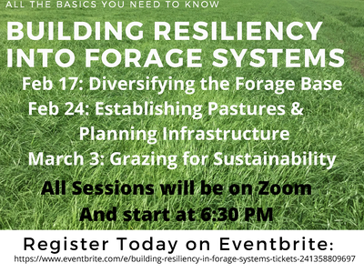 Building resiliency into forage systems flyer — Feb 17, Feb 24, Mar 3; Zoom sessions 6:30 PM; Eventbrite
