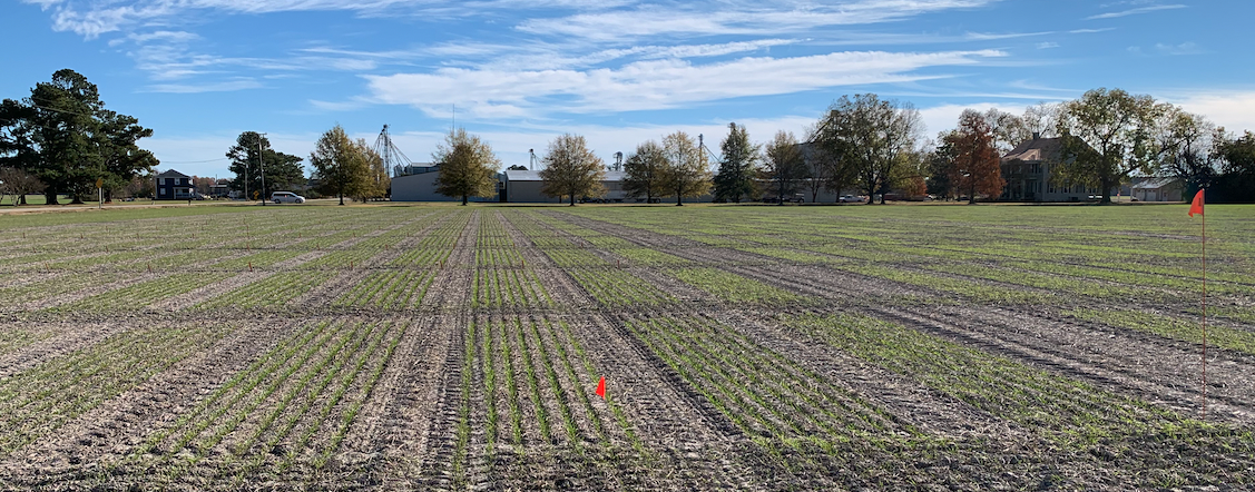 '22 NE Ag Expo Field Day Site