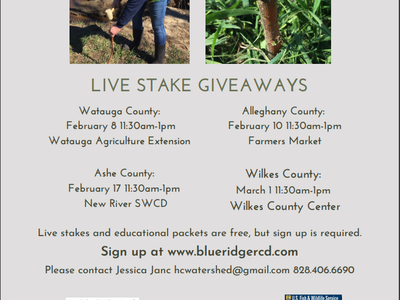 Live Stake Giveaway flyer