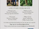 Live Stake Giveaway flyer