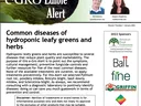 e-GRO Edible Alert newsletter cover: Common diseases of hydroponic leafy greens and herbs