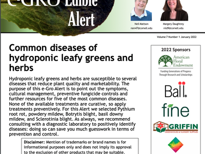e-GRO Edible Alert newsletter cover: Common diseases of hydroponic leafy greens and herbs