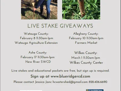 Live Stake Giveaway flyer