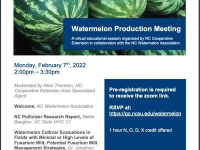 Watermelon meeting promotional flier
