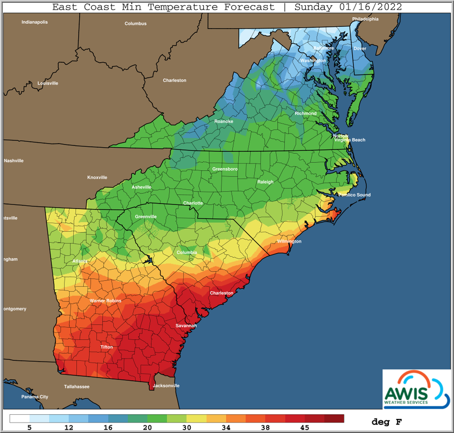 East Coast minimum temperature forecast map, Sunday 01/16/2022, color scale in °F