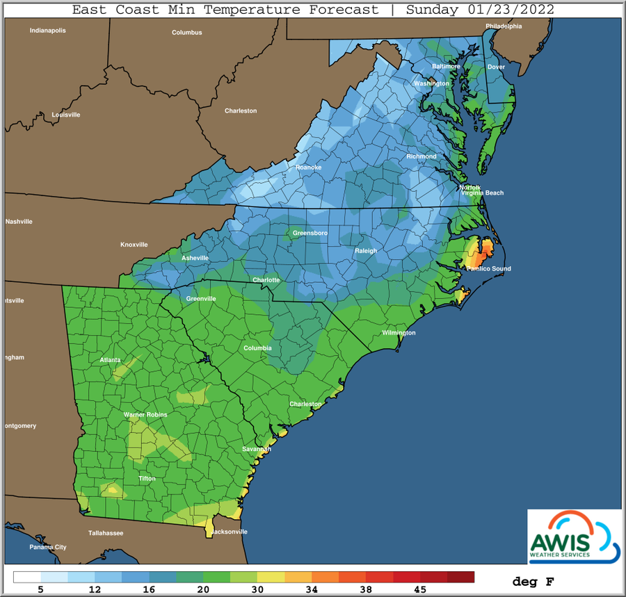 East Coast minimum temperature forecast map, Sunday 01/23/2022, temperatures labeled in deg F