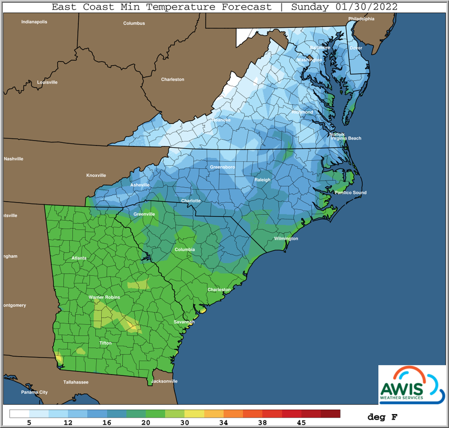 East Coast min temperature forecast map — Sunday 01/30/2022; color scale in deg F