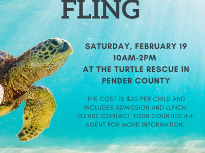 Sea turtle underwater with "Winter Fling" event text, Saturday Feb 19 10AM–2PM