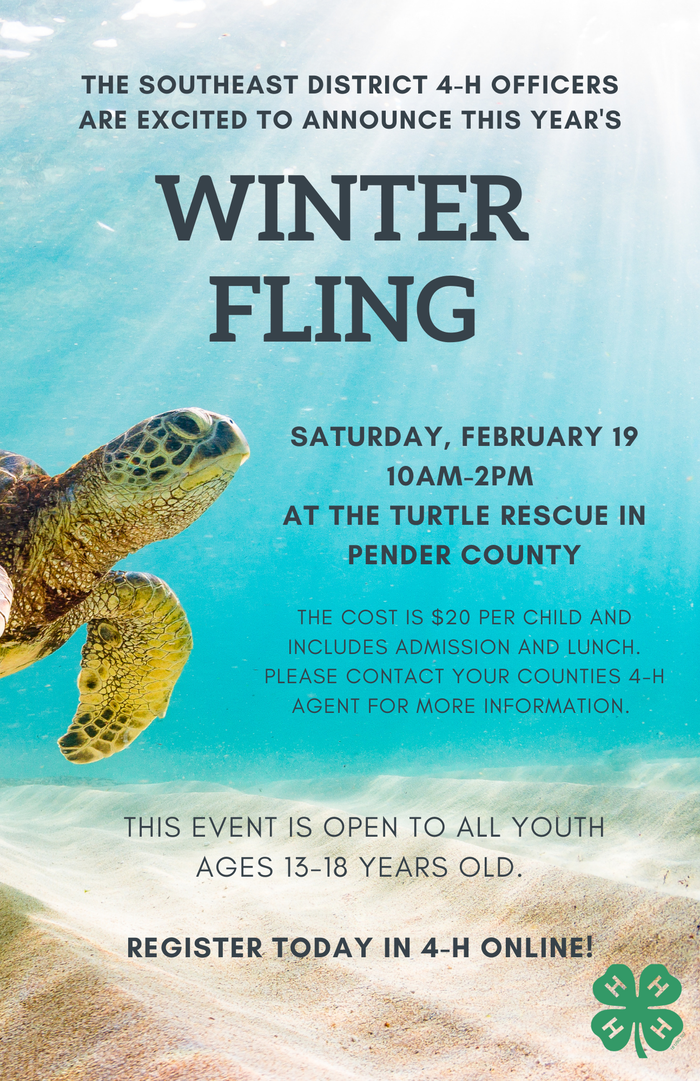 Sea turtle underwater with "Winter Fling" event text, Saturday Feb 19 10AM–2PM