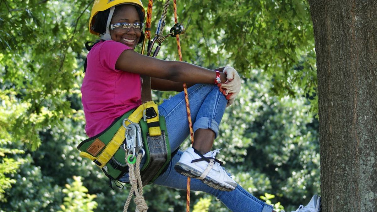 Girl climbing a tree in the JC Raulston Arboretum