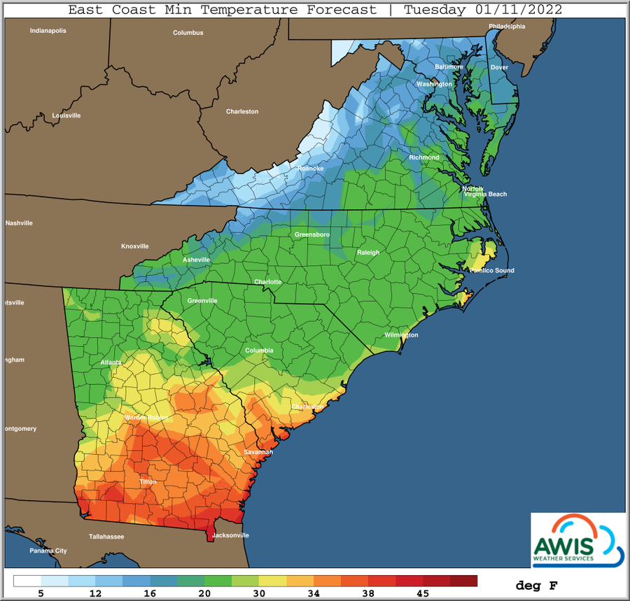 East Coast Min Temperature Forecast — Tuesday 01/11/2022; color scale shown in deg F
