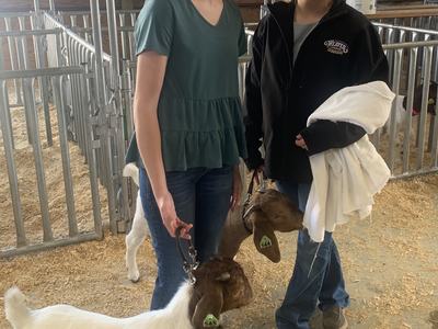 Two young people holding leashed goats inside a livestock barn with metal pens
