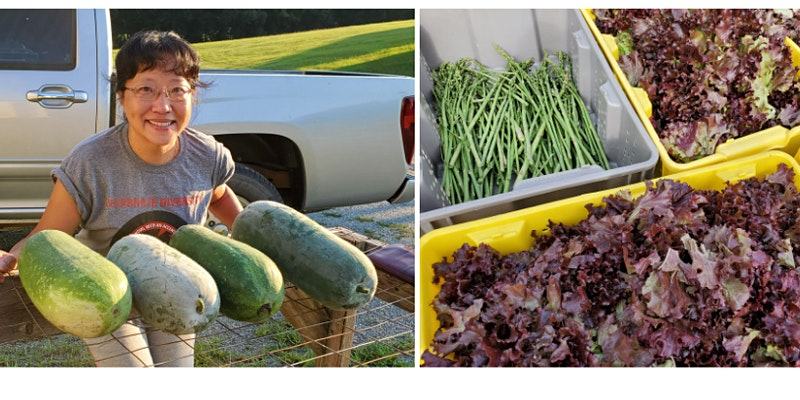 Person holding four large green melons by pickup; bins of asparagus and red leaf lettuce