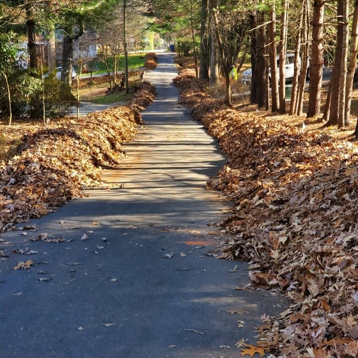 municipal leaf waste 