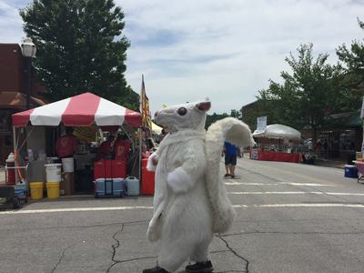 White squirrel Festival Brevard