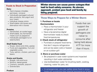 Safe plates 'Preparing for a Winter Storm Factsheet'
