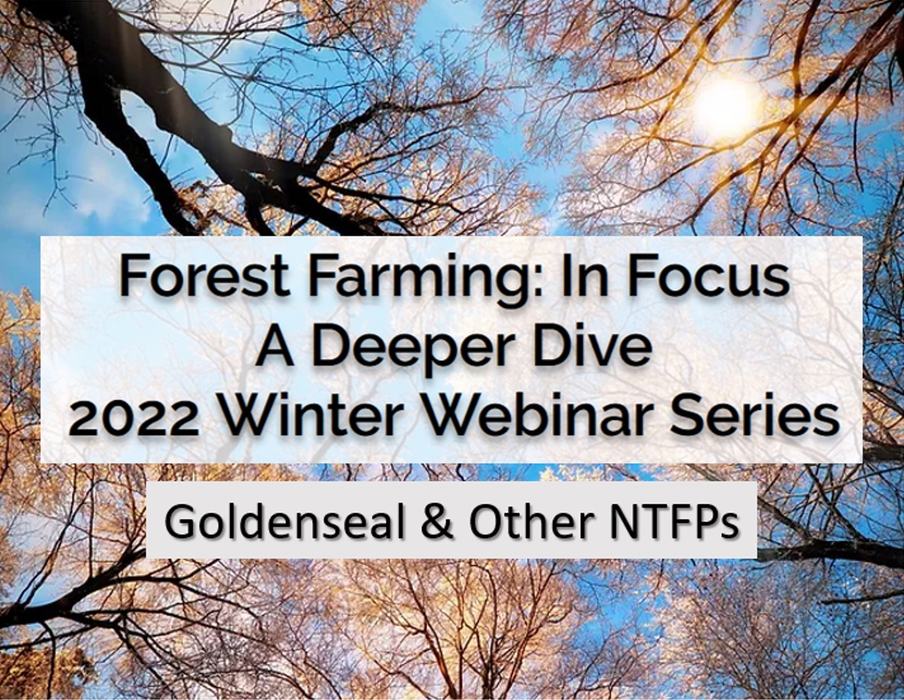 flier for Forest Farming in Focus: Goldenseal & Other NTFPs 