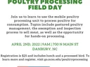 flier