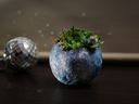 miniature garden in blue round planter