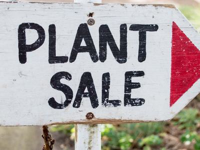 Plant sale sign with red directional arrow