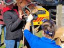 Horse restrained with dental speculum while two people perform an oral examination outdoors