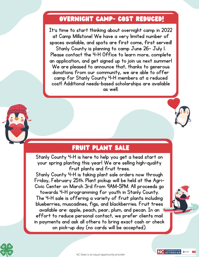 Flyer: "Overnight Camp - Cost Reduced!" and "Fruit Plant Sale" for Stanly County 4-H