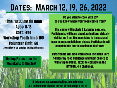 Flier describing online Farm to Fork Camp.