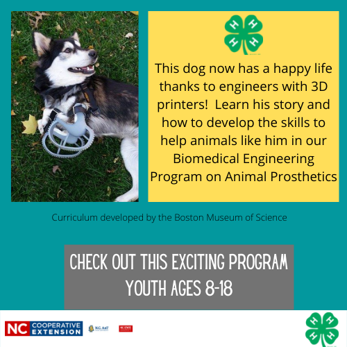 poster for the biomedical engineering program showing a dog with artificial front legs